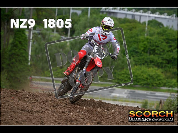 Experts-029