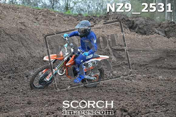 NZ9_2531