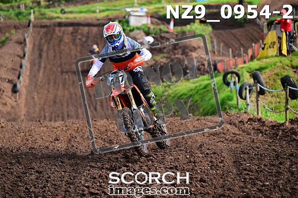 NZ9_0954-2