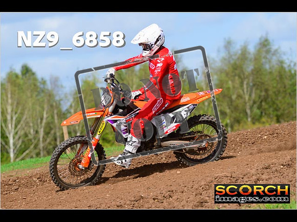 Experts-352