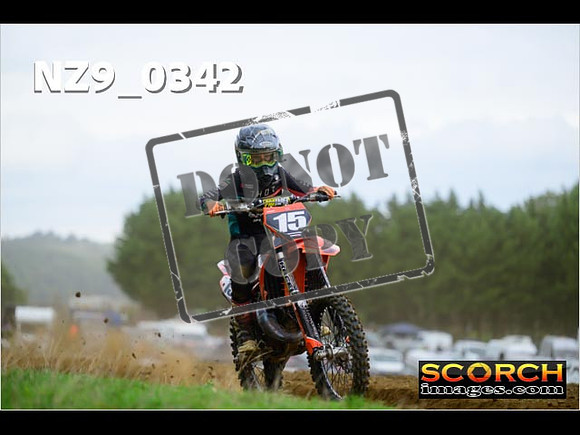 Experts-293