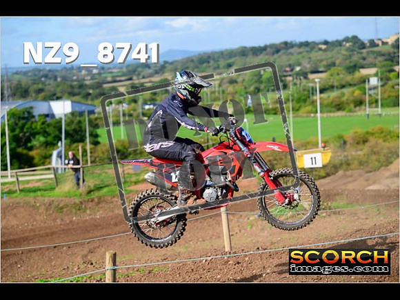 Experts-243