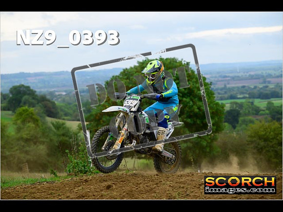 Experts-341