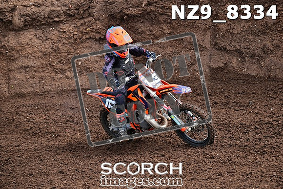 NZ9_8334