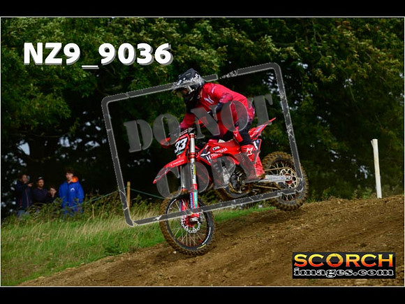 Experts-081