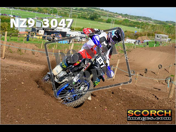 Experts-240