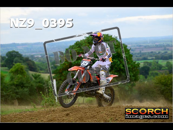 Experts-343
