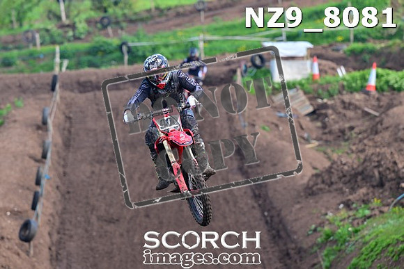 NZ9_8081
