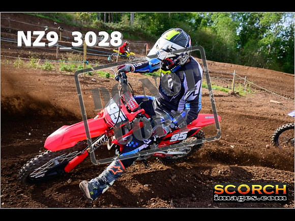 Experts-222