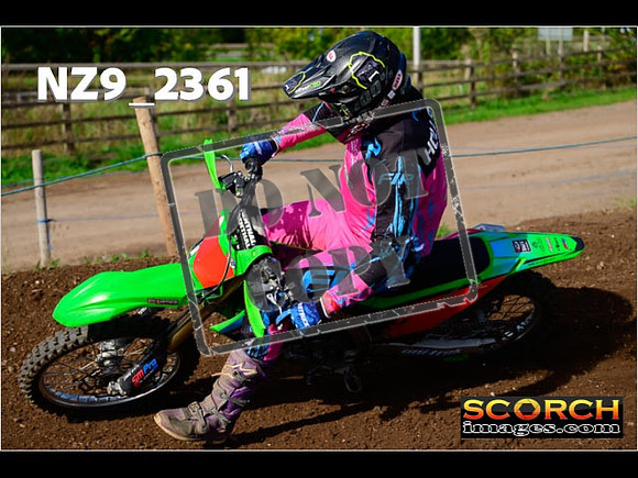 Experts-322
