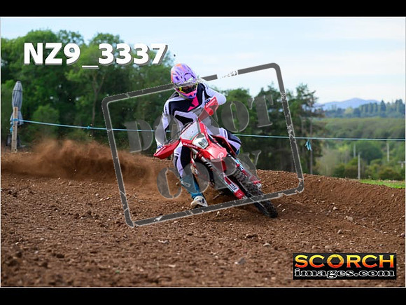 Experts-300