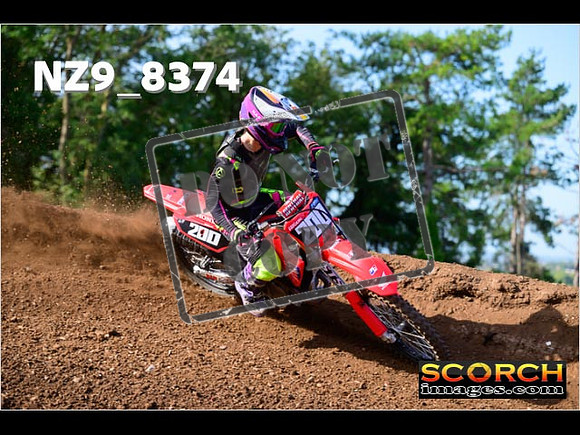 Experts-137