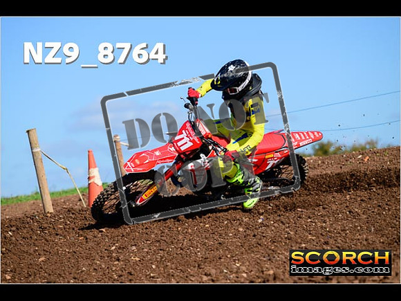 Experts-265