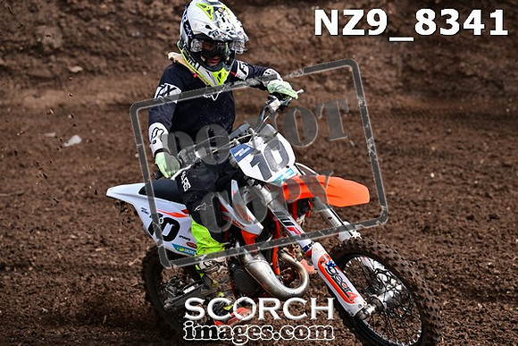 NZ9_8341