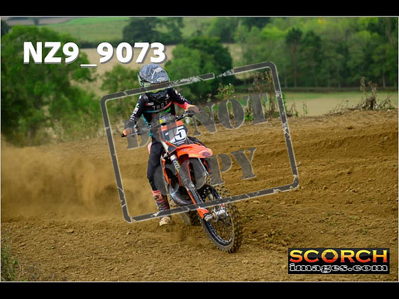 Experts-116