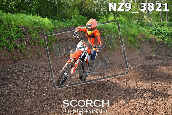 NZ9_3821