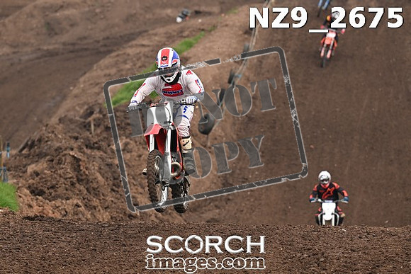 NZ9_2675