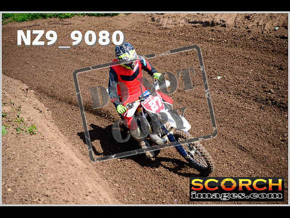 Experts-146