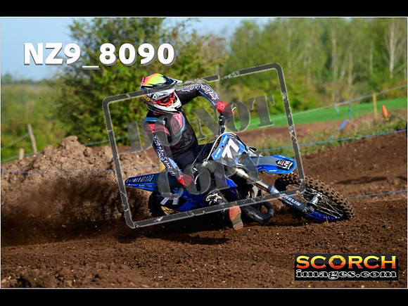Experts-084