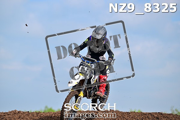 NZ9_8325
