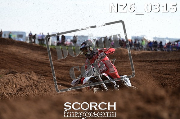 NZ6_0315