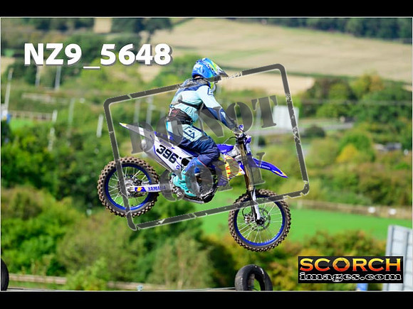 Inters-299