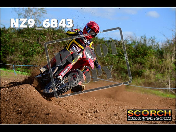 Experts-338
