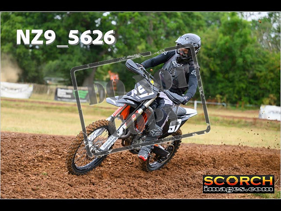 Experts-029