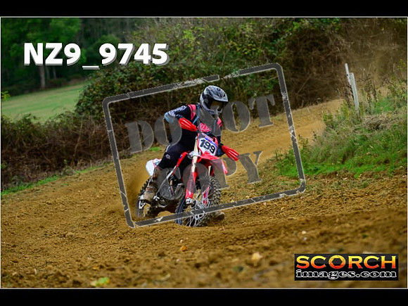 Experts-168