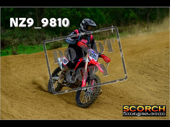 Experts-230