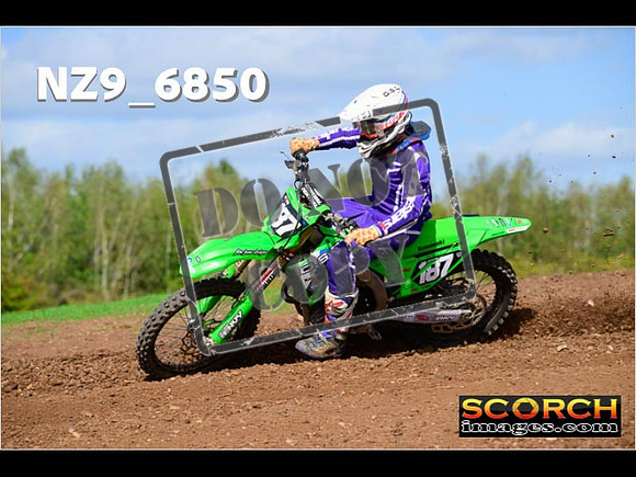 Experts-345