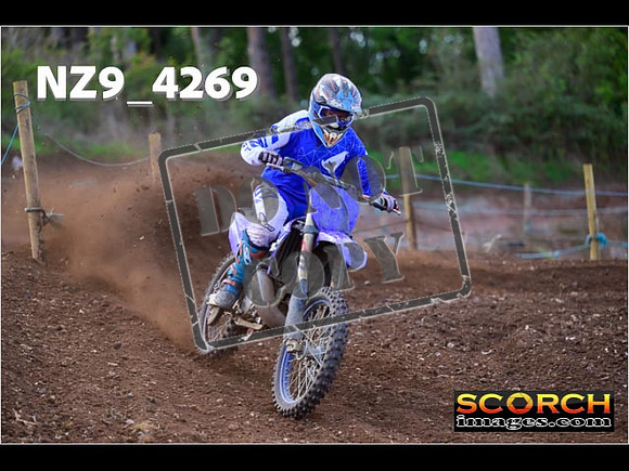 Experts-131