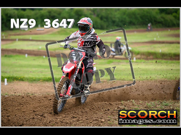 LDR Wed 31-May Novice-022