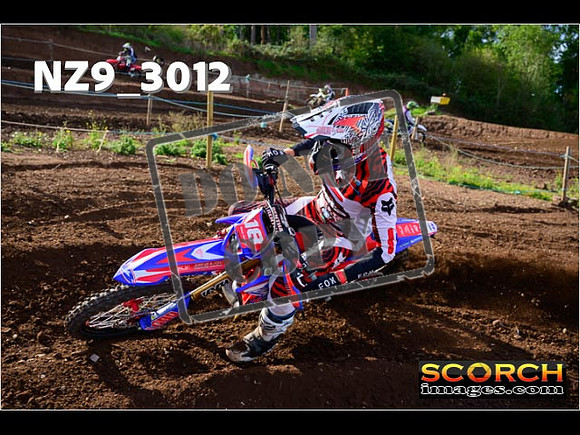 Experts-206