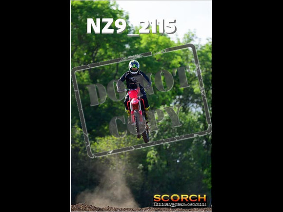 Experts-249