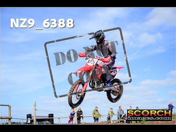 Experts-220
