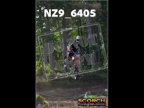 Experts-237