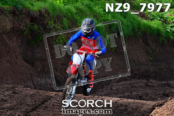 NZ9_7977