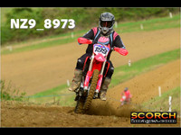 Experts-019