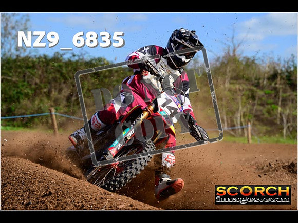 Experts-330