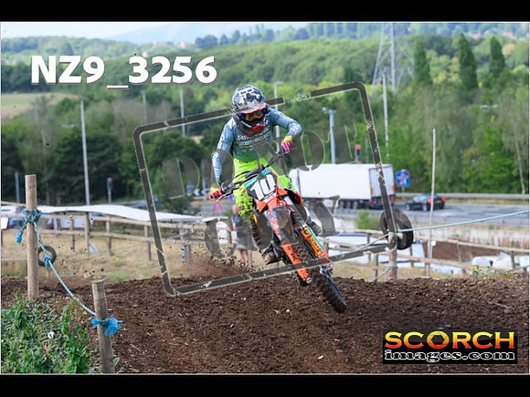 Experts-062