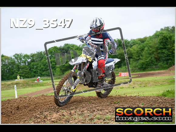 LDR Wed 31-May Experts-058