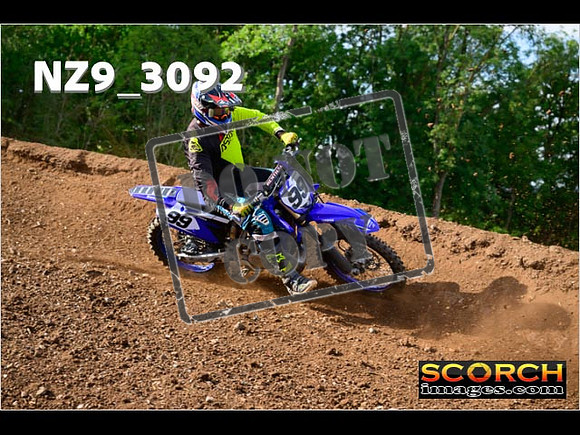 Experts-278
