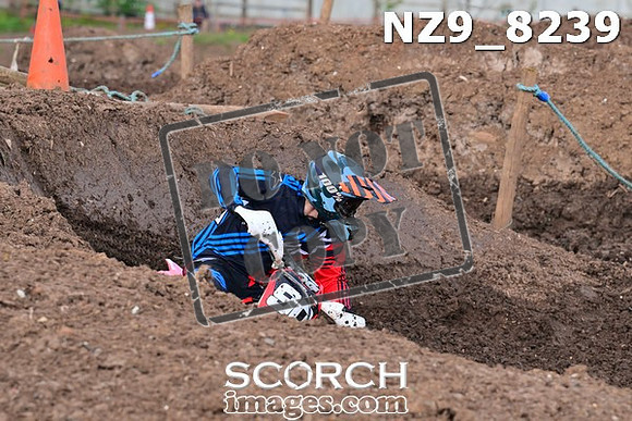 NZ9_8239