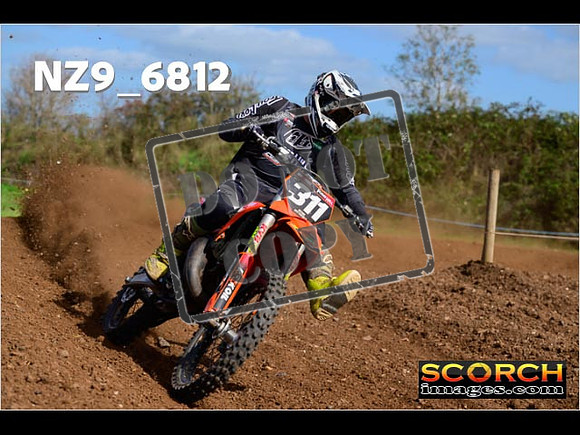 Experts-307