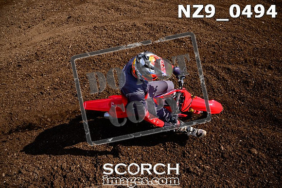 NZ9_0494