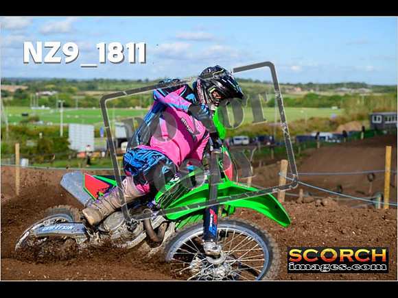 Experts-235