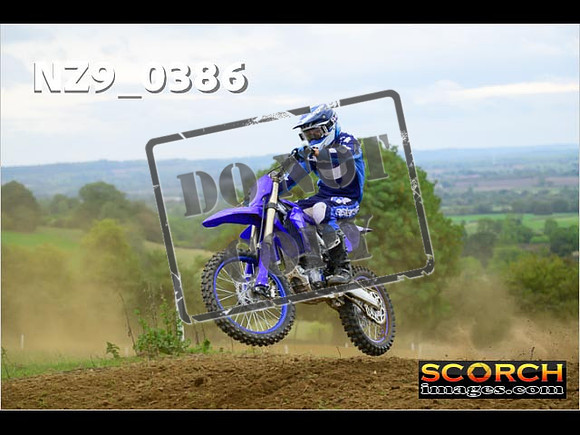 Experts-334