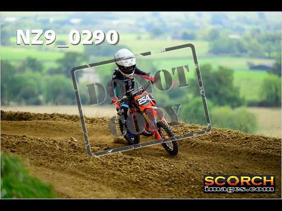 Auto 65's-119
