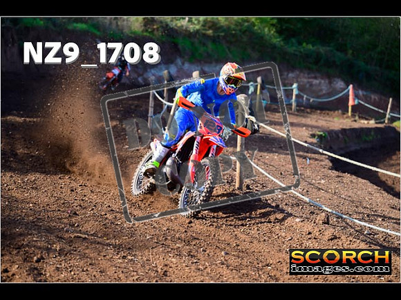 Experts-139